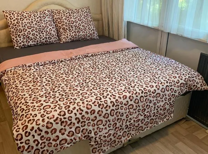 홈스테이 Kantershof 542 *